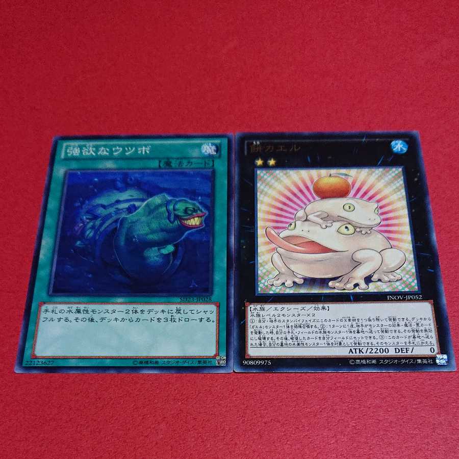 専用 餅カエル 字レア 強欲なウツボ SD23版ノーマル