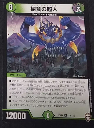 Psychic person of arboreal food R 19/110