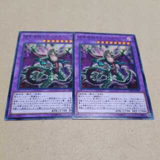 捕食植物ドラゴスタペリア　ノーマル