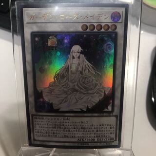 ガーデン・ローズ・メイデン