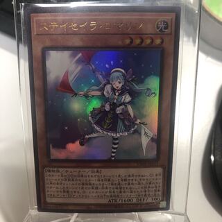 ステイセイラ　ロマリン