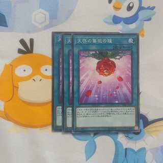 431 天啓の薔薇の鐘 3枚 鮭イクラ商店