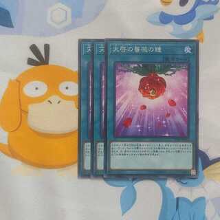 432 天啓の薔薇の鐘 3枚 鮭イクラ商店