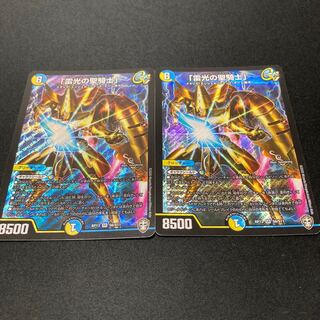 「雷光の聖騎士」