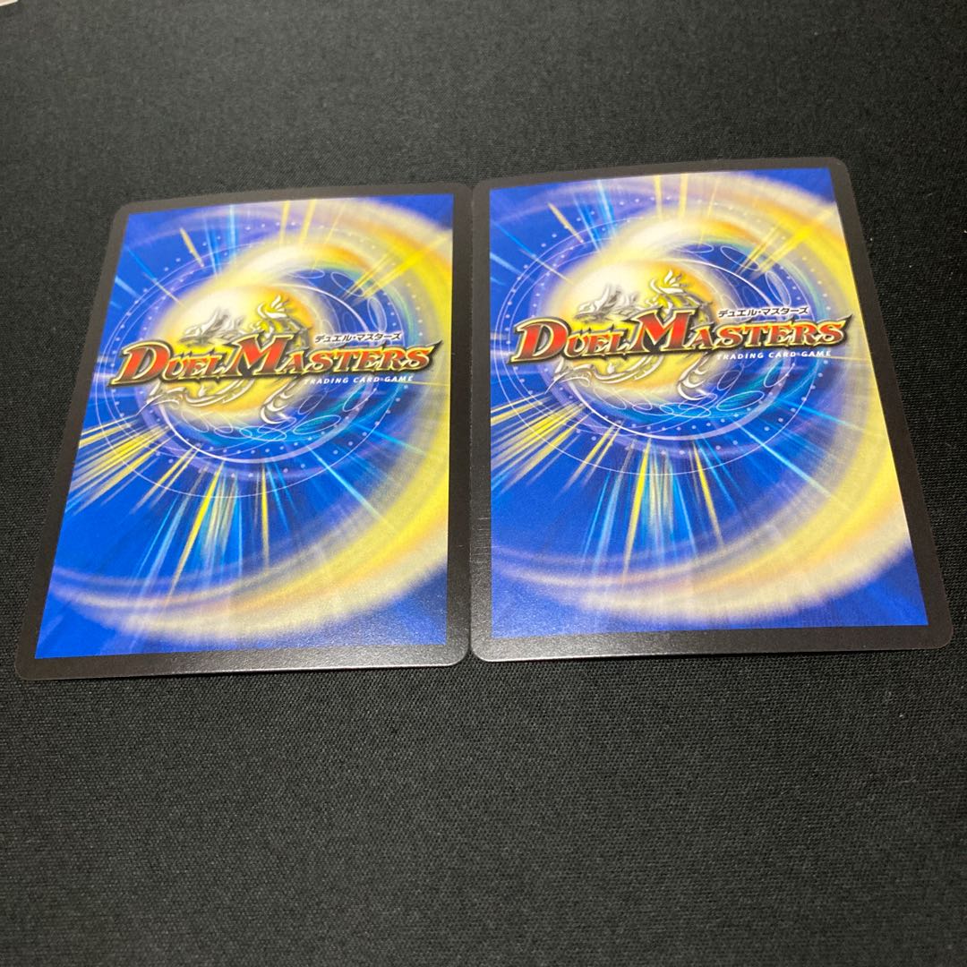 「雷光の聖騎士」