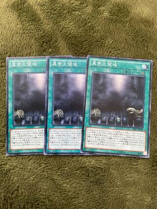 真帝王領域 ノーマル3枚