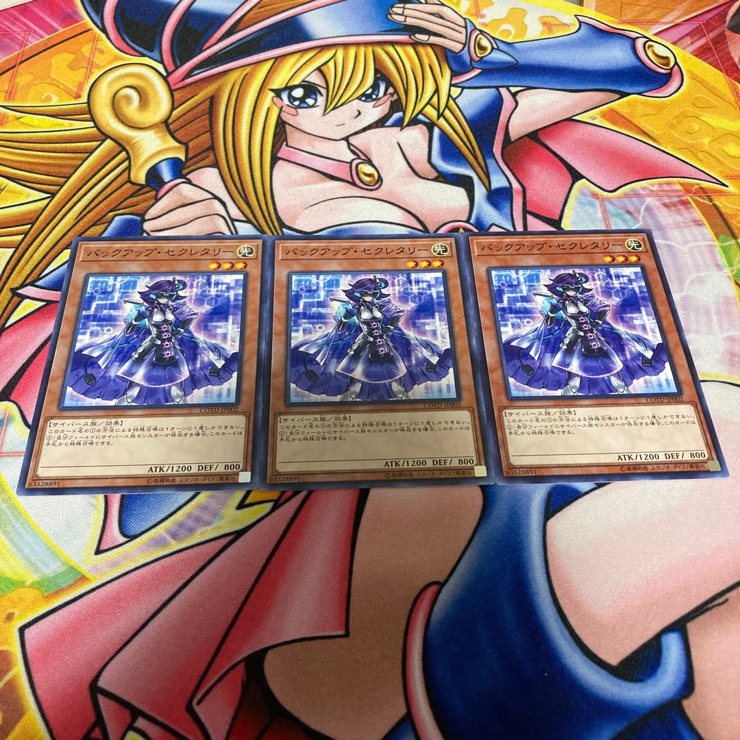 バックアップ・セクレタリー