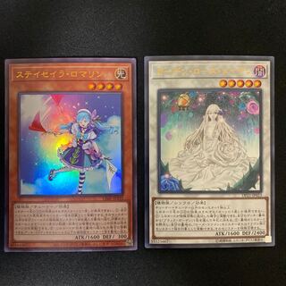 Garden Rose Rosa Den, Staysailor Romarin