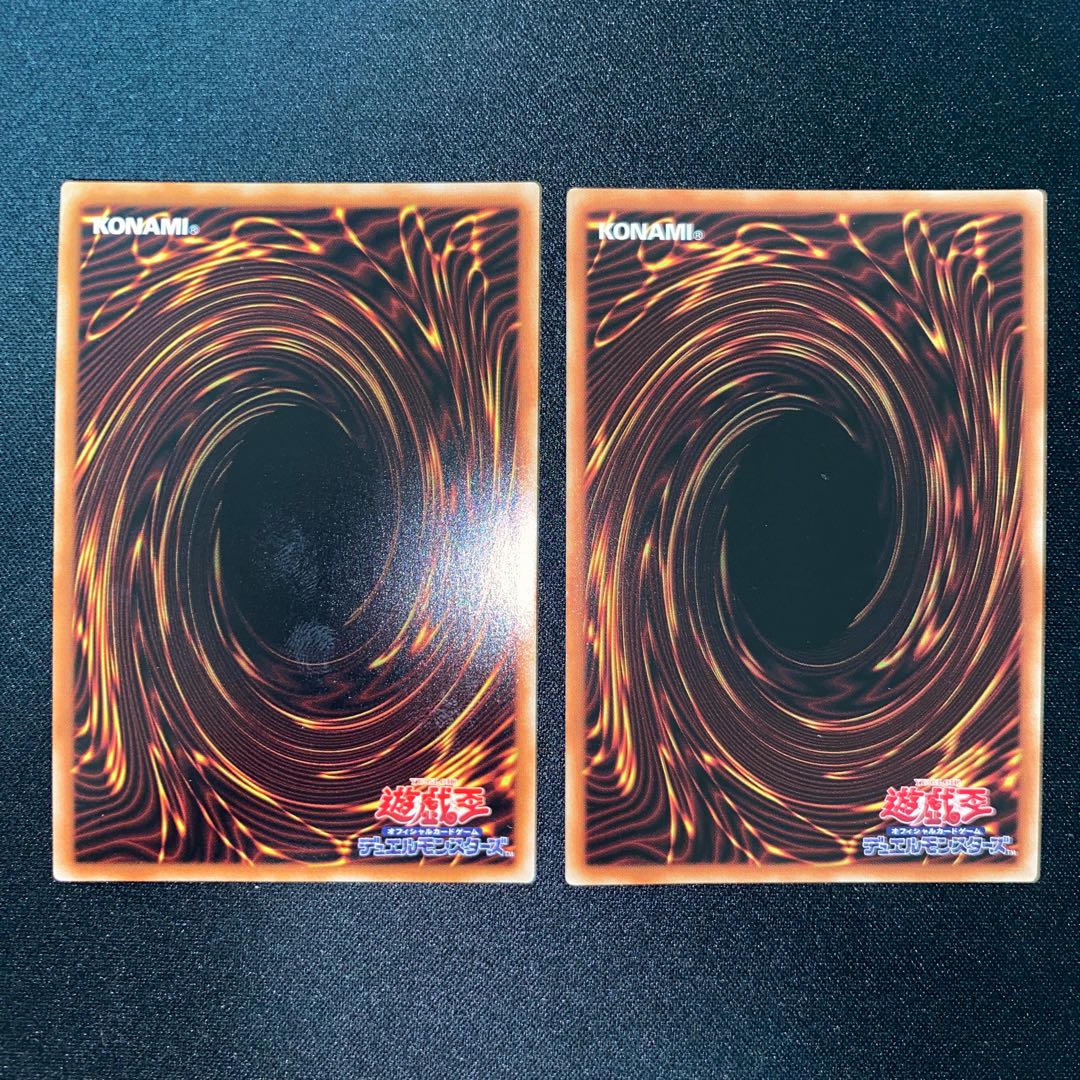 Garden Rose Rosa Den, Staysailor Romarin