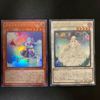 ステイセイラ・ロマリン、ガーデン・ローズ・メイデン