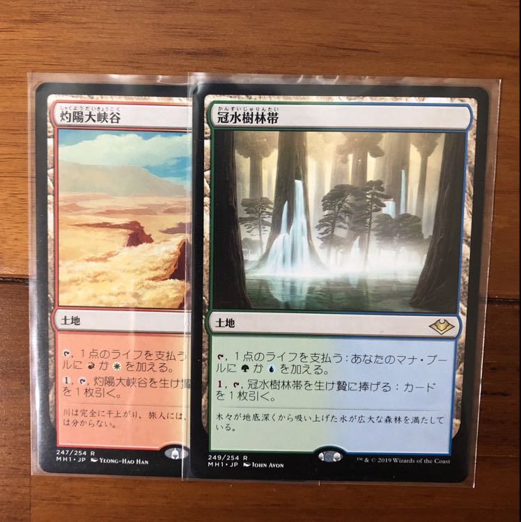 灼陽大峡谷 冠水樹林帯