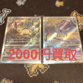 Recruitment Pokemon Cards