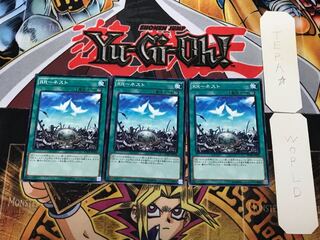 RRネスト 2 ノーマル 3枚セット てら