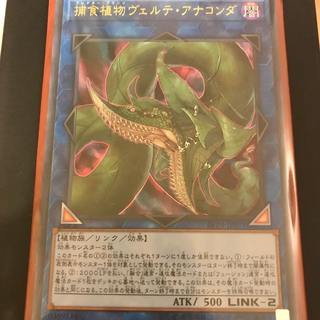 捕食植物ヴェルテ・アナコンダ ウルトラレア