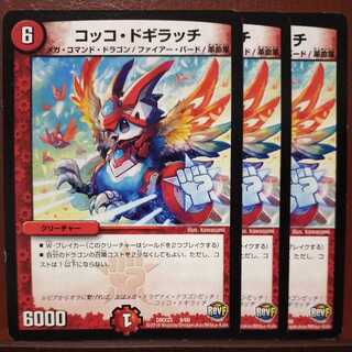 Oki164 set discount Cocco Dogilacci