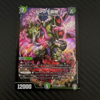 最終値下げ　ドマンモ龍樹