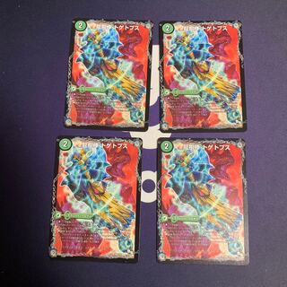 Dragon Cudgel Buttubu topps (Joltiformes: Polygona)