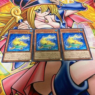 エクシーズ・スライドルフィン