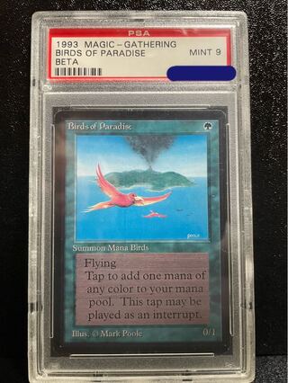 最終値下げPSA9極楽鳥β  1枚