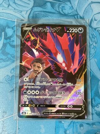 ムゲンダイナV CSR