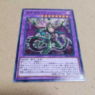 遊戯王 捕食植物ドラゴスタペリア　ノーマル