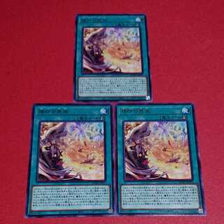 烙印の気炎 字レア ３枚