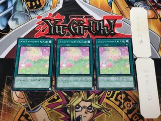 メルフィーのかくれんぼ 3 ノーマル 3枚セット てら