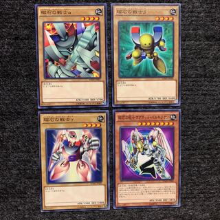 Magnet Warrior Set