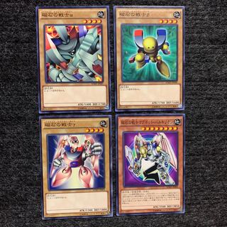 Magnet Warrior Set