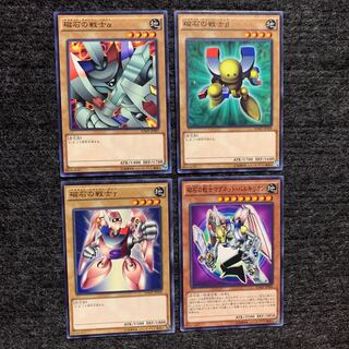 Magnet Warrior Set