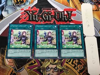 アロマガーデニング 1 ノーマル 3枚セット てら