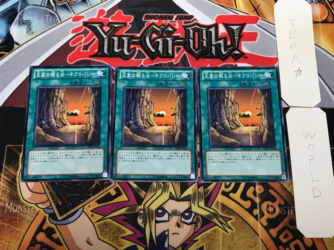 Valley of Sleep of Kings - Necro Valley 1 Normal, set of 3 Tera.