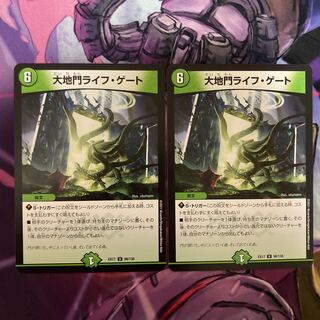 大地門ライフ・ゲート　2枚