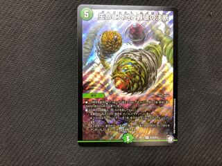 デュエル・マスターズ　生命と大地と轟破の決断