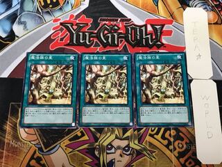 Secret Village of the Spellcasters 1 Normal 3-Piece Set Terra