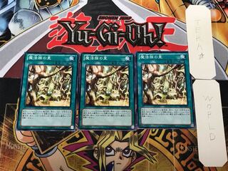 魔法族の里 3 ノーマル 3枚セット てら