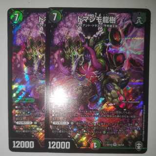 ドマンモ龍樹 2枚セット