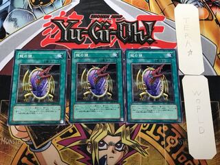 Dragon's Mirror 1 Normal, set of 3 Tera