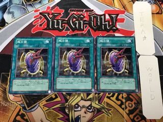 Dragon's Mirror 3 Normal, set of 3 Tera