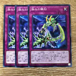 蝕みの鱗粉　３枚