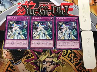 宝玉の集結 2 ノーマル 3枚セット てら