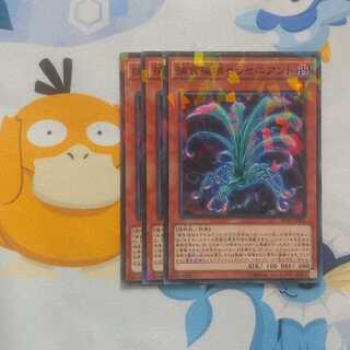 439 捕食植物セラセニアント ノーパラ3枚 鮭イクラ商店