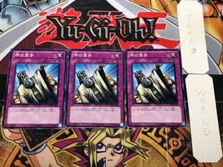 Solemn Judgment 2 Normal, Set of 3, Terra