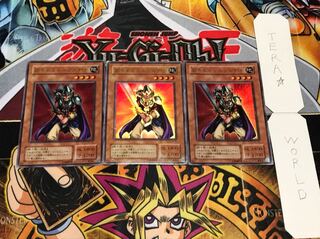 翻弄するエルフの剣士 2期ver ウルトラ 3枚セット