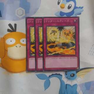 463 ワンダーエクシーズ 3枚 鮭イクラ商店