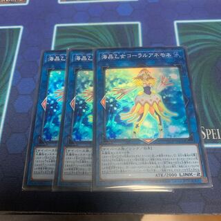 海晶乙女コーラルアネモネ スーパー 3枚