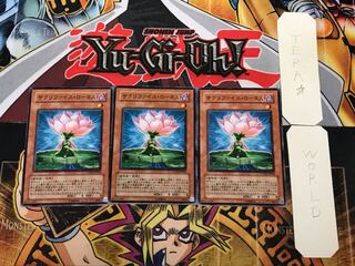 サクリファイス・ロータス2 ノーマル 3枚セット てら