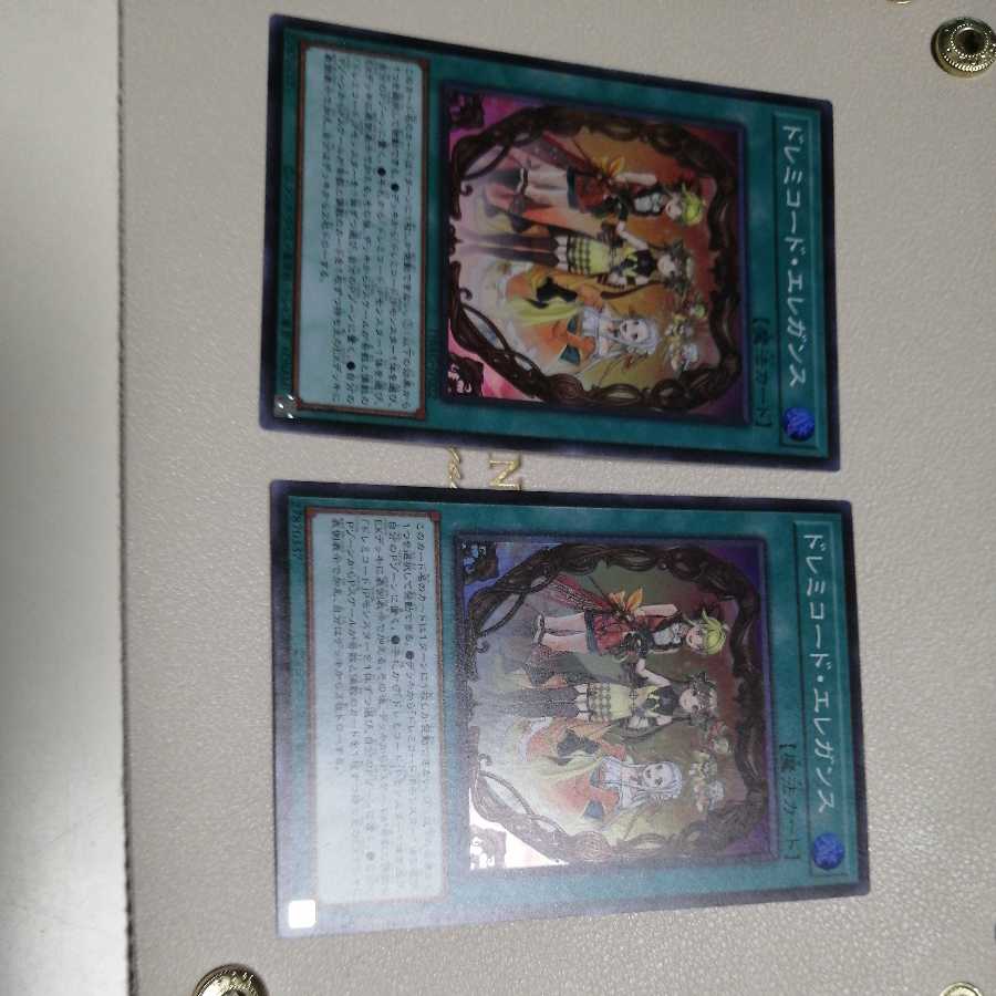 Solfachord Elegance Super Rare