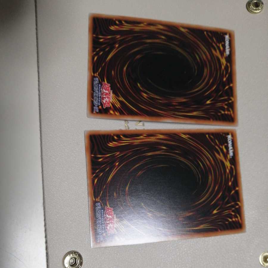 Solfachord Elegance Super Rare