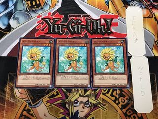 Dandylion 1 Normal, set of 3 Tera